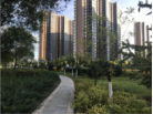 论一部微电影的完成总共分几部（一）(图3)